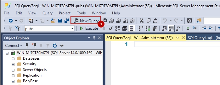 Кнопка нового запроса MS SQL