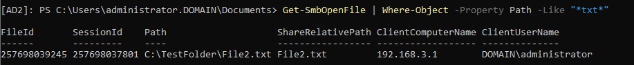 Get-SMBOpenFile